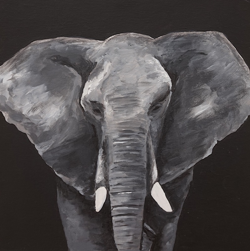 Elefant 1